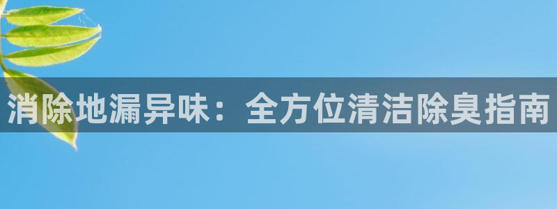 尊龙人生就是搏：消除地漏异味：全方位清洁除臭指南