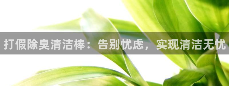 凯时登录界面：打假除臭清洁棒：告别忧虑，实现清洁无忧