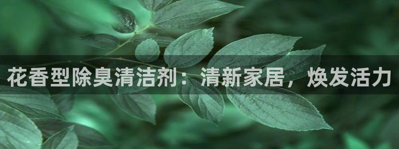 凯时kb88官网网址：花香型除臭清洁剂：清新家居，焕发活