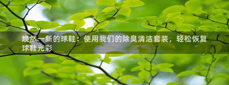 尊龙官方APP下载：焕然一新的球鞋：使用我们的除臭清洁套