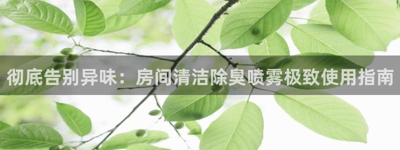 凯时官网手机版首页：彻底告别异味：房间清洁除臭喷雾极致使