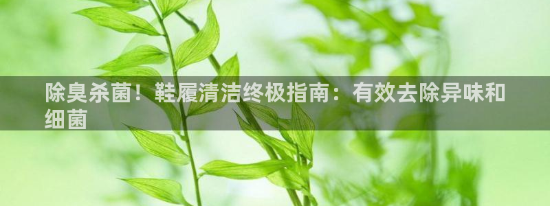 尊龙ag旗舰厅登陆：除臭杀菌！鞋履清洁终极指南：有效去除