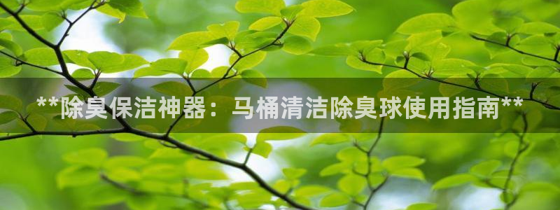 尊龙凯时平台正规吗：**除臭保洁神器：马桶清洁除臭球使用